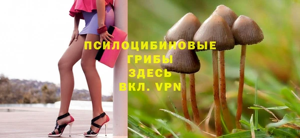 крисы Алексеевка