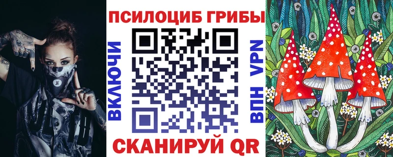 Галлюциногенные грибы Psilocybine cubensis  Купить закладки  Фролово 