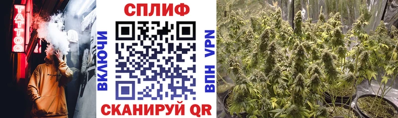 Купить где  Фролово  Каннабис конопля 